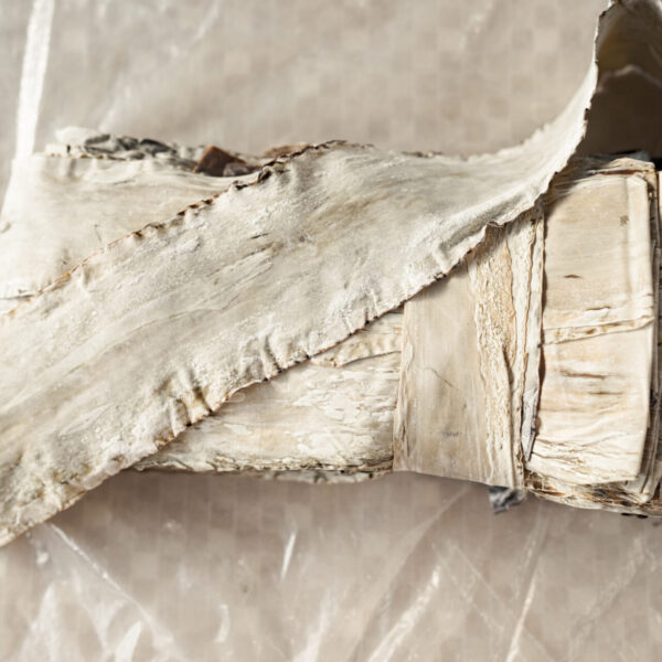 shiokaze-photoby-jiji41